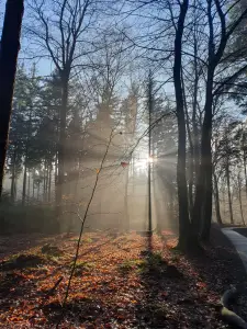 Annelies 02 - Fijne jaarwisseling